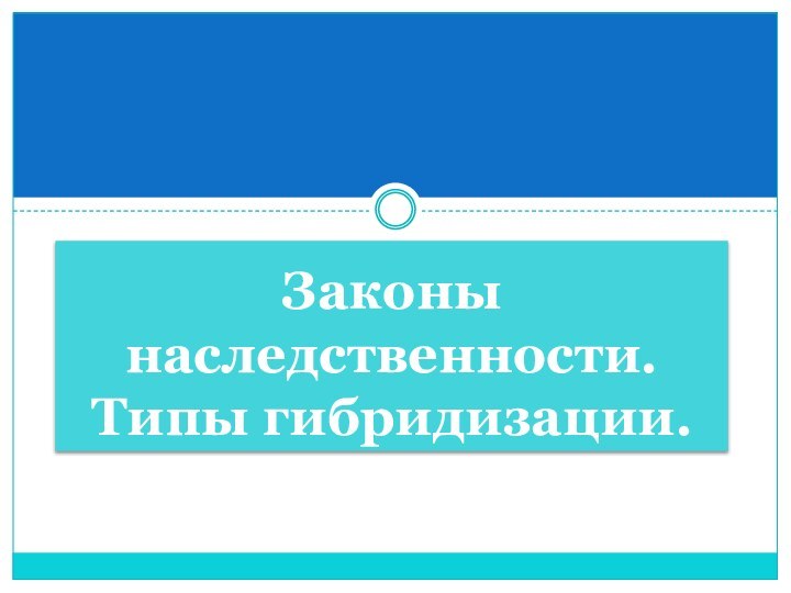 Законы наследственности. Типы гибридизации.