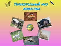 Увлекательный мир животных