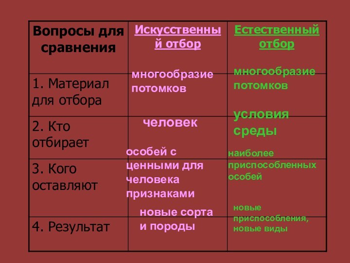 многообразие потомковмногообразие потомковчеловекусловия средынаиболее приспособленных особейособей с ценными для человека признакаминовые сорта