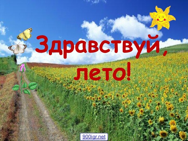 Здравствуй, лето!