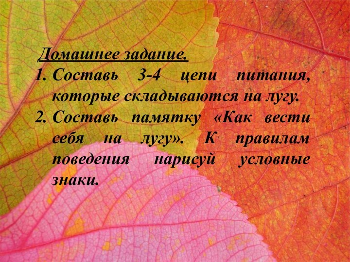 Домашнее задание.Составь 3-4 цепи питания, которые складываются на лугу.Составь памятку «Как вести