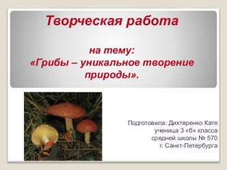 Грибы-уникальное творение природы