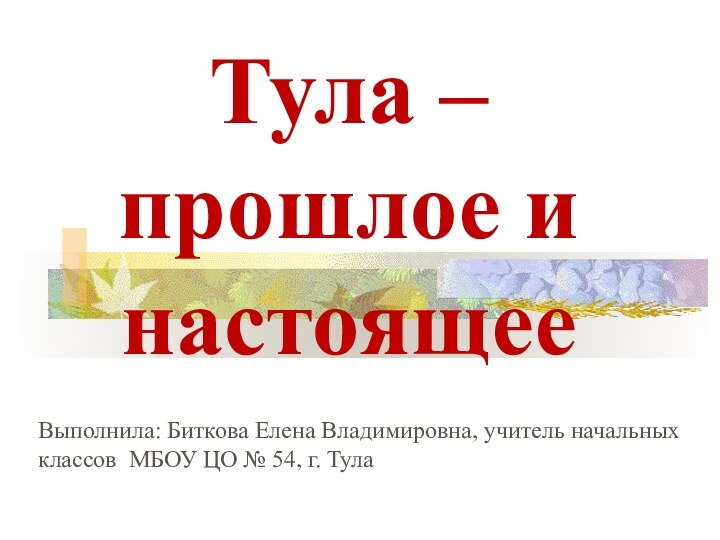 Выполнила: Биткова Елена Владимировна, учитель начальных классов МБОУ ЦО № 54, г.