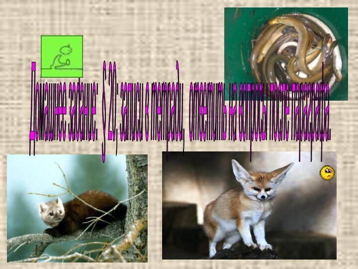 Домашнее задание: § 20; записи в тетради, ответить на вопросы после параграфа.
