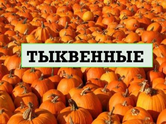 Тыквенные