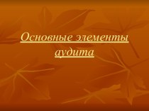 Основные элементы аудита