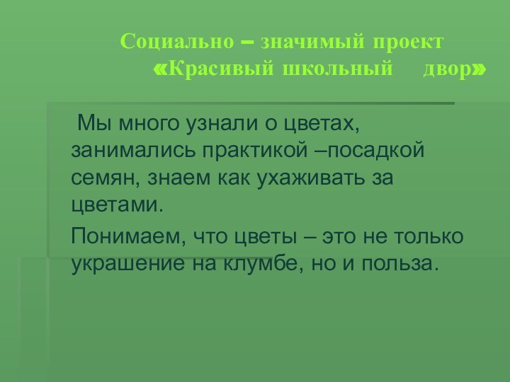 Социально – значимый проект