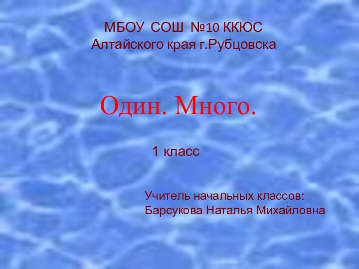 Один. Много.МБОУ СОШ №10 ККЮСАлтайского края г.Рубцовска1 классУчитель начальных классов:Барсукова Наталья Михайловна