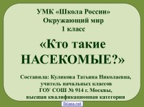 Детям о насекомых