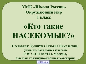 Детям о насекомых