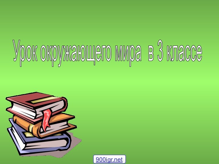 Урок окружающего мира в 3 классе