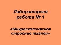 8 класс. Лабораторная работа Микроскопическое строение тканей