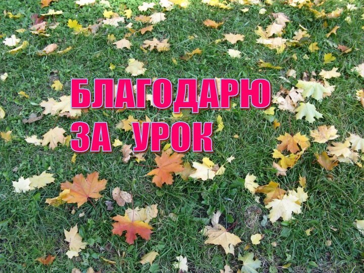 БЛАГОДАРЮ  ЗА  УРОК