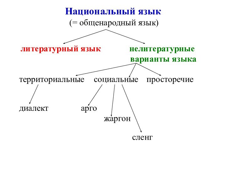 Национальный язык  (= общенародный язык) литературный язык