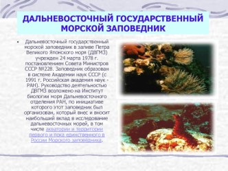 Дальневосточный государственный морской заповедник