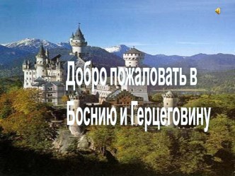 Босния и Герцеговина