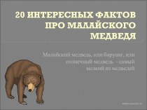 20 интересных фактов о малазийском медведе