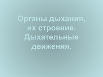 Органы дыхания, их строение. Дыхательные движения.