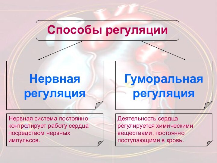 Способы регуляции