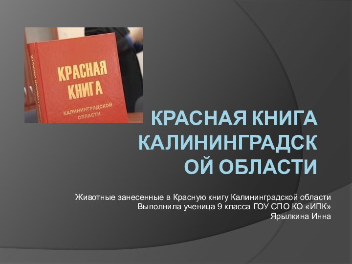 КРАСНАЯ КНИГА КАЛИНИНГРАДСКОЙ ОБЛАСТИЖивотные занесенные в Красную книгу Калининградской областиВыполнила ученица 9