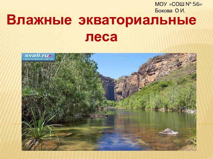 Влажные экваториальные      леса МОУ «СОШ № 56»Бокова О И.