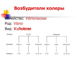 Возбудители холеры