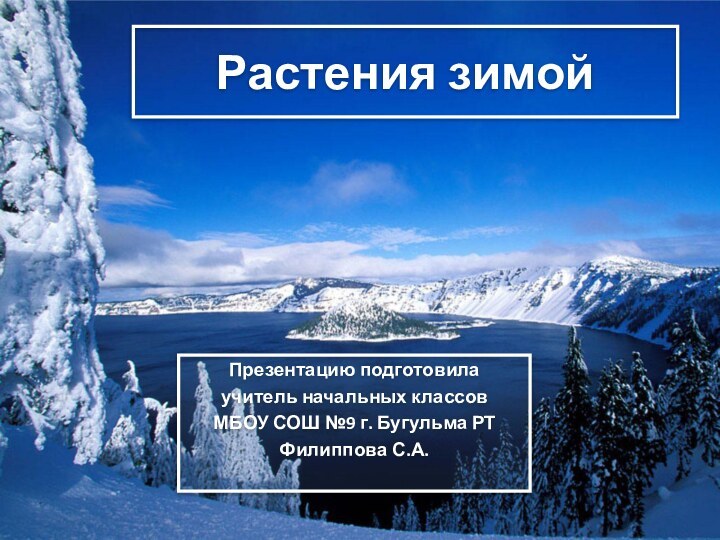 Растения зимойПрезентацию подготовилаучитель начальных классовМБОУ СОШ №9 г. Бугульма РТФилиппова С.А.