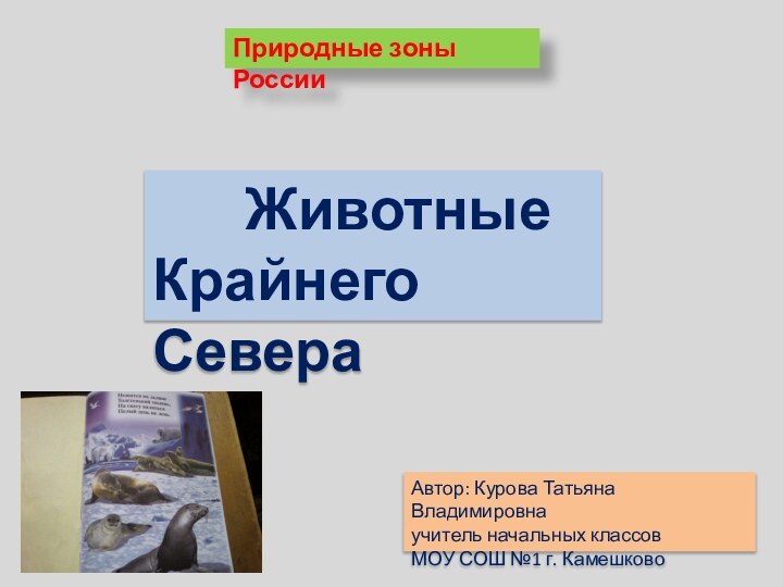 Природные зоны РоссииАвтор: Курова Татьяна Владимировнаучитель начальных классовМОУ СОШ №1 г. Камешково