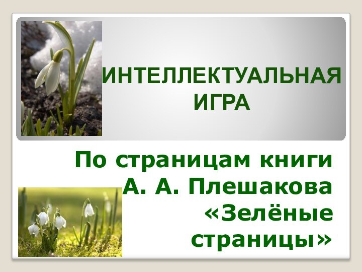 По страницам книги  А. А. Плешакова «Зелёные  страницы»ИНТЕЛЛЕКТУАЛЬНАЯ ИГРА