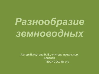 Разнообразие земноводных