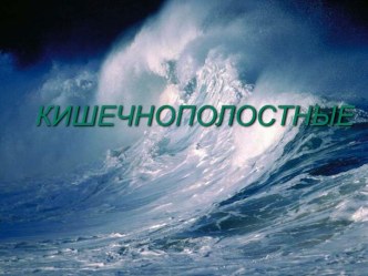 Кишечнополостные