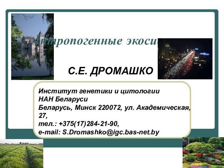 Антропогенные экосистемы С.Е. ДРОМАШКОИнститут генетики и цитологии НАН Беларуси  Беларусь, Минск