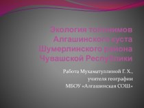 Презентация Топонимика Алгашинского куста Шумерлинского района