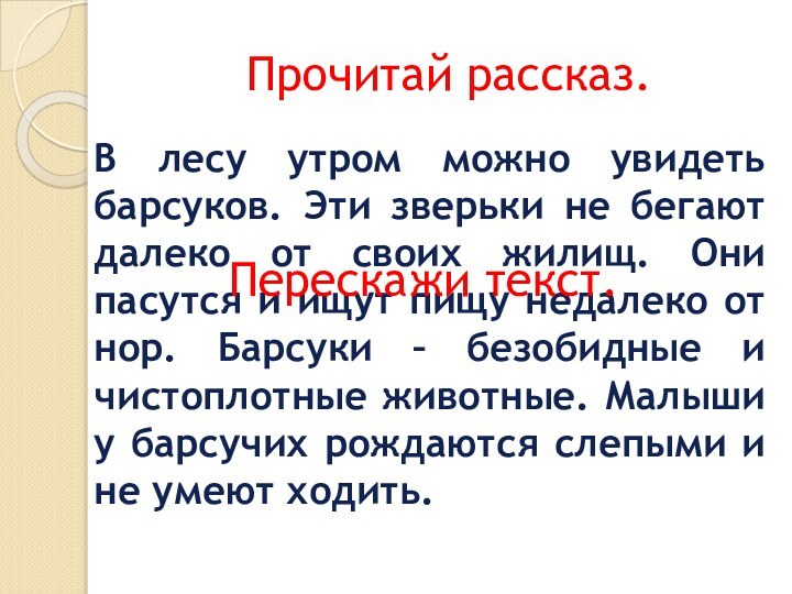 Прочитай рассказ.В лесу утром можно увидеть барсуков. Эти зверьки не бегают далеко