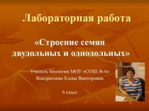 Строение семян двудольных и однодольных