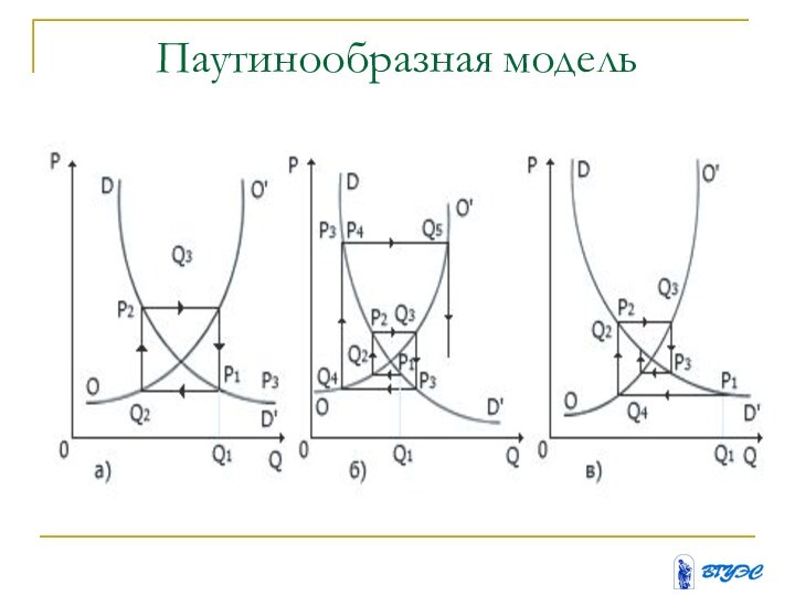 Паутинообразная модель