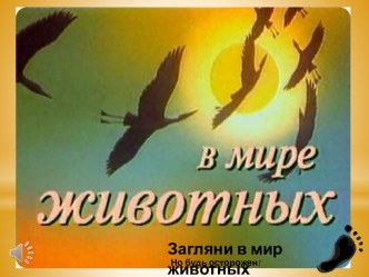 Мир животных