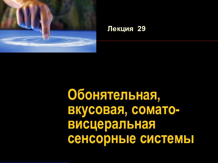 Обонятельная, вкусовая, сомато-висцеральная сенсорные системыЛекция 29