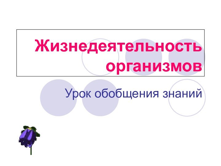 Жизнедеятельность организмов Урок обобщения знаний