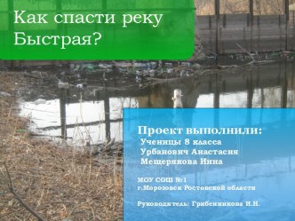 Как спасти реку Быстрая?