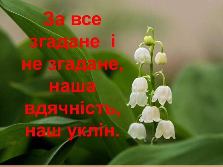 За все згадане і не згадане, наша вдячність, наш уклін.