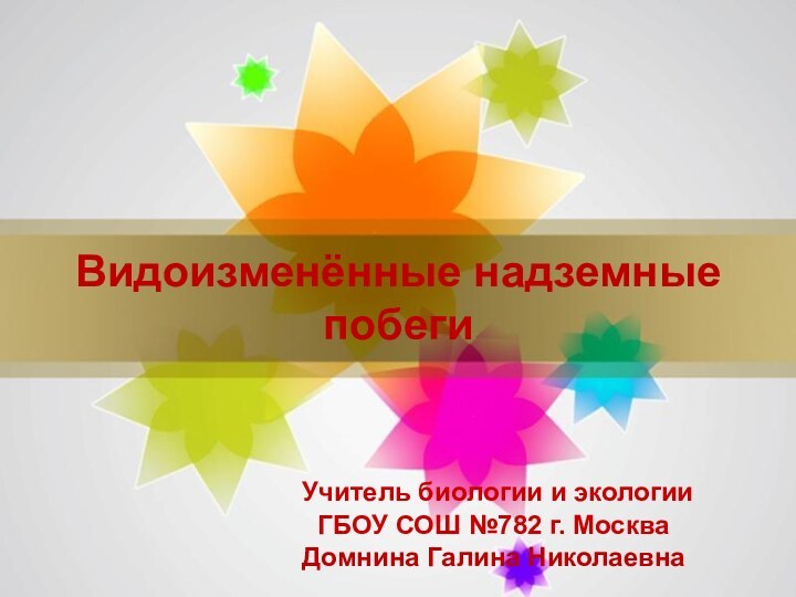 Видоизменённые надземные побеги Учитель биологии и экологии ГБОУ СОШ №782 г. МоскваДомнина Галина Николаевна