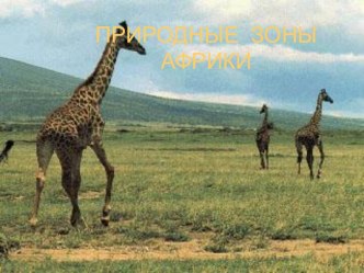 Природные зоны Африки