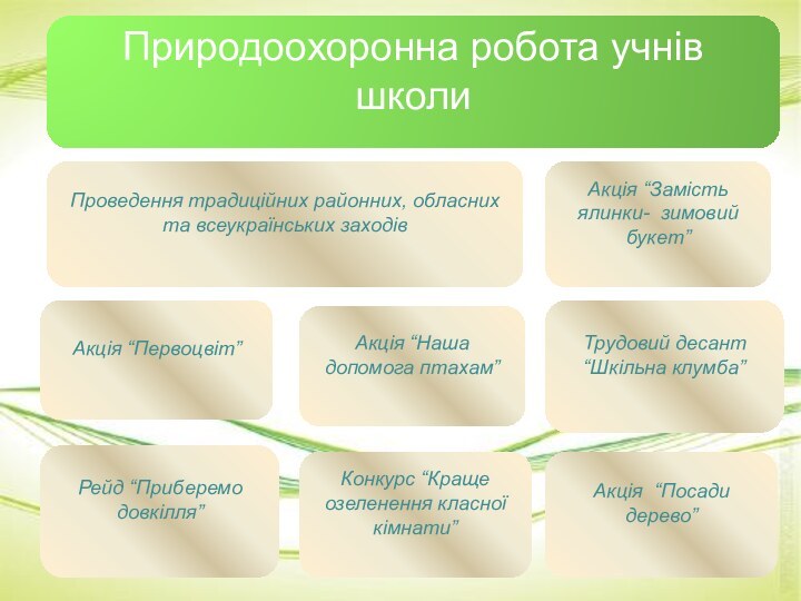 Природоохоронна робота учнів школиПроведення традиційних районних, обласних та всеукраїнських заходівАкція “Замість ялинки-