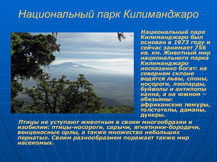 Национальный парк Килиманджаро    Национальный парк Килиманджаро был основан в