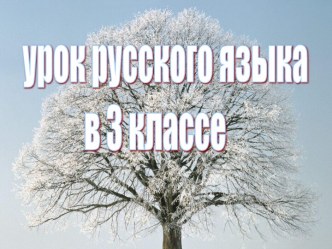 Правописание приставок. Зима в природе