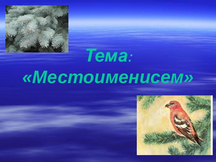 Тема:  «Местоименисем»