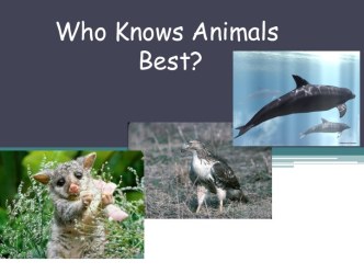 Who knows animals best ?
