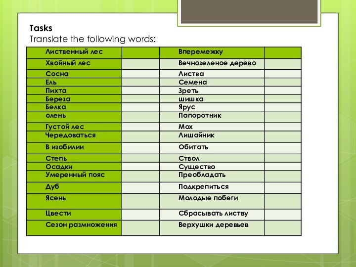 TasksTranslate the following words: