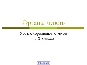 Строение органов чувств